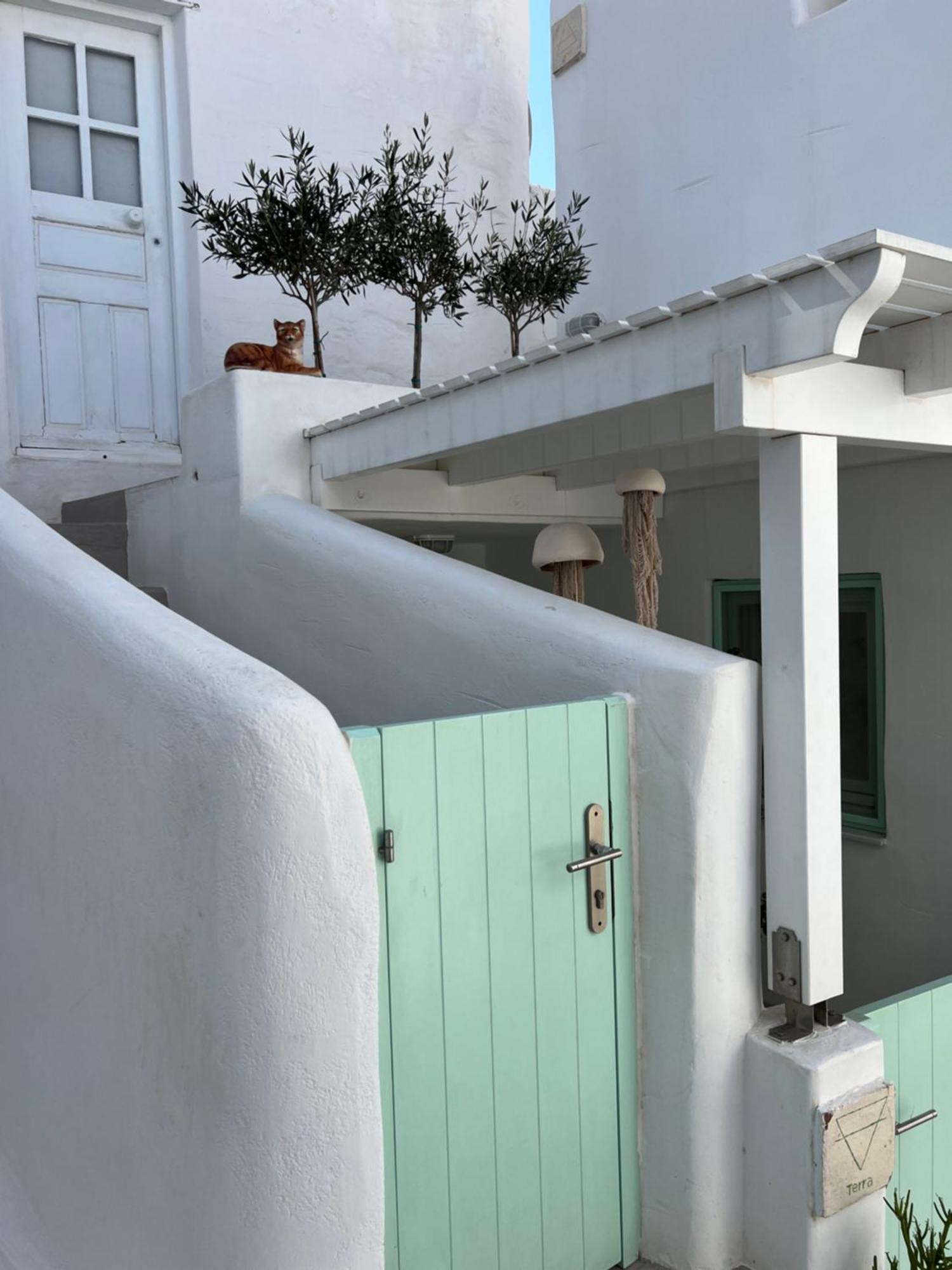 Ianua Casa Per Viaggiatori Apartment Astypalaia Bagian luar foto